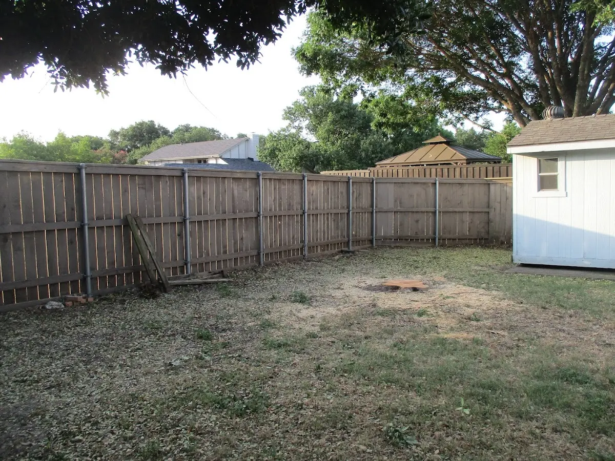 Cleared yard after professional tree removal in Silver Point
