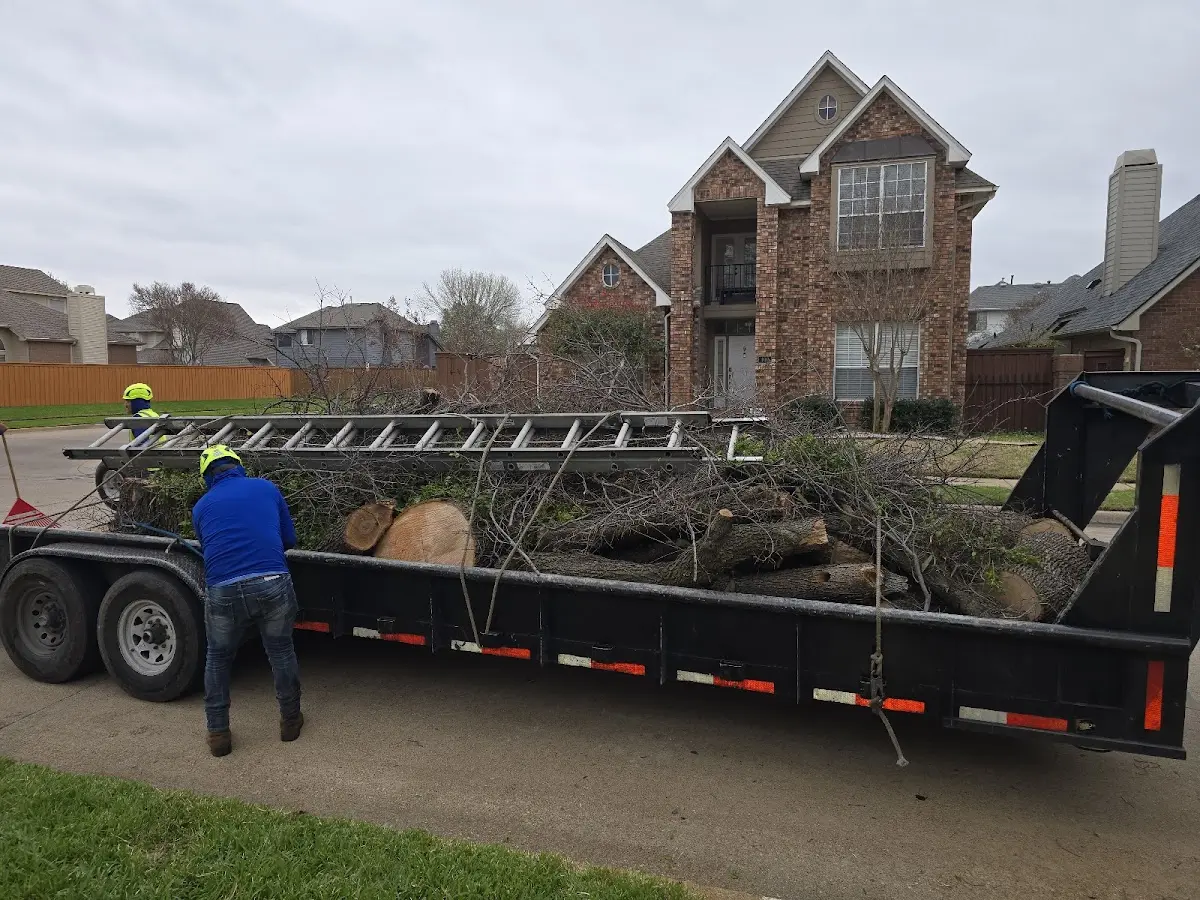 Expert Tree Fertilization with proper safety equipment in Silver Point